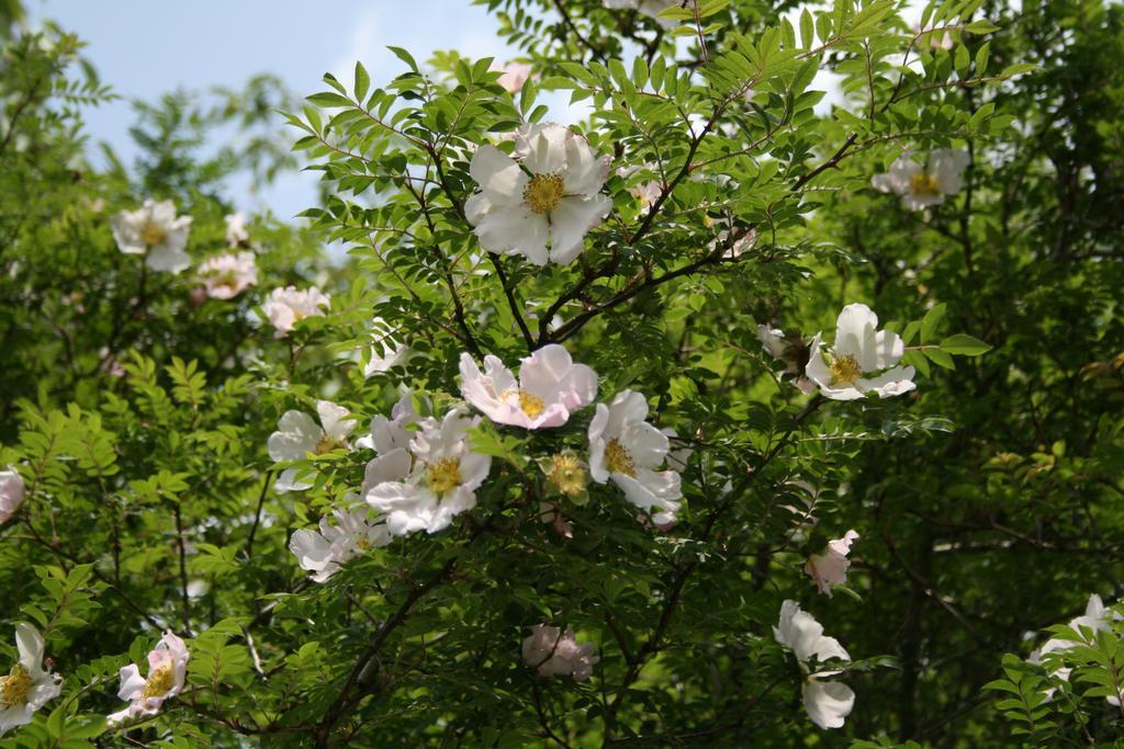 Senkyoro Hakone Exterior foto
