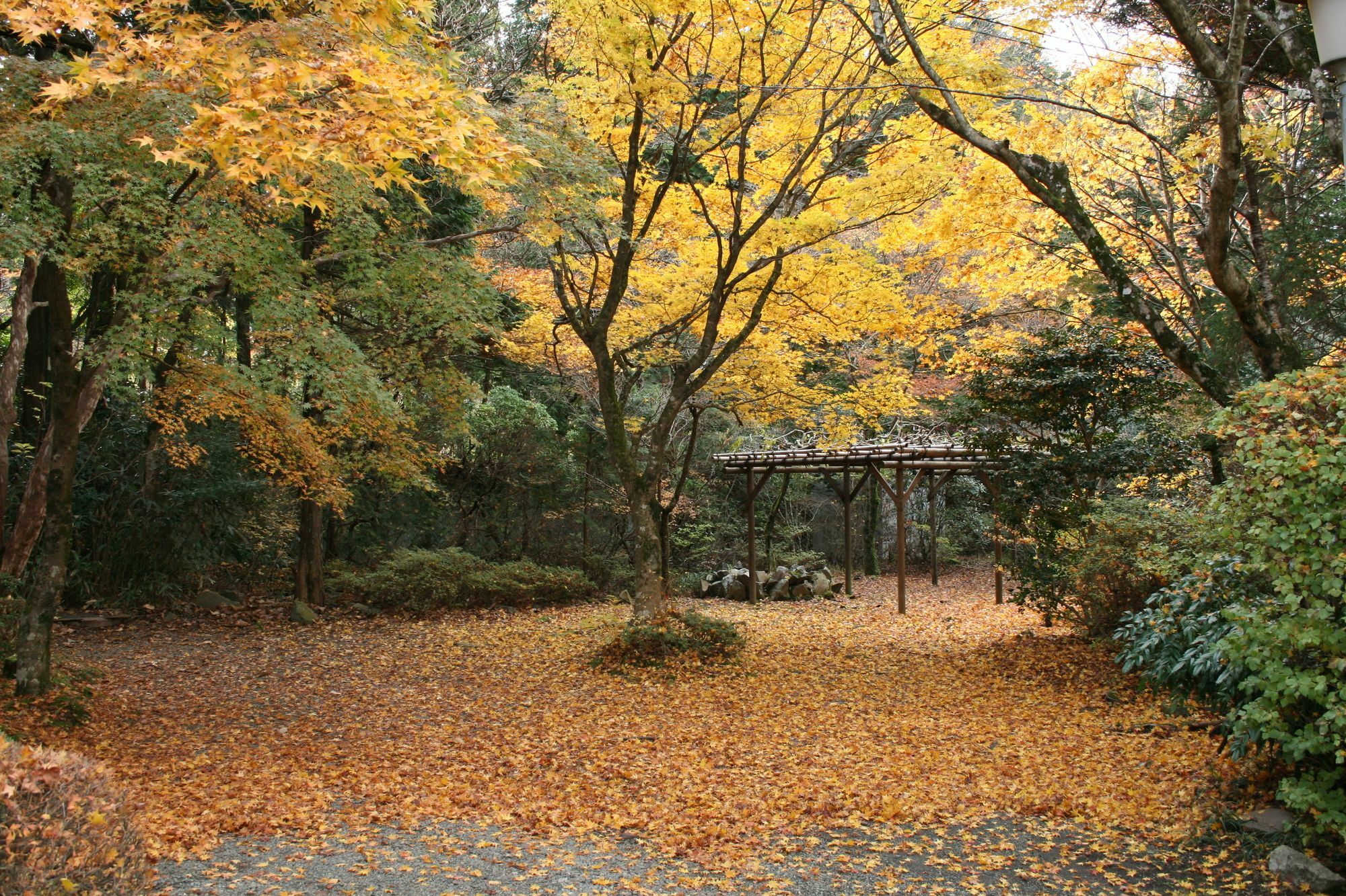 Senkyoro Hakone Exterior foto